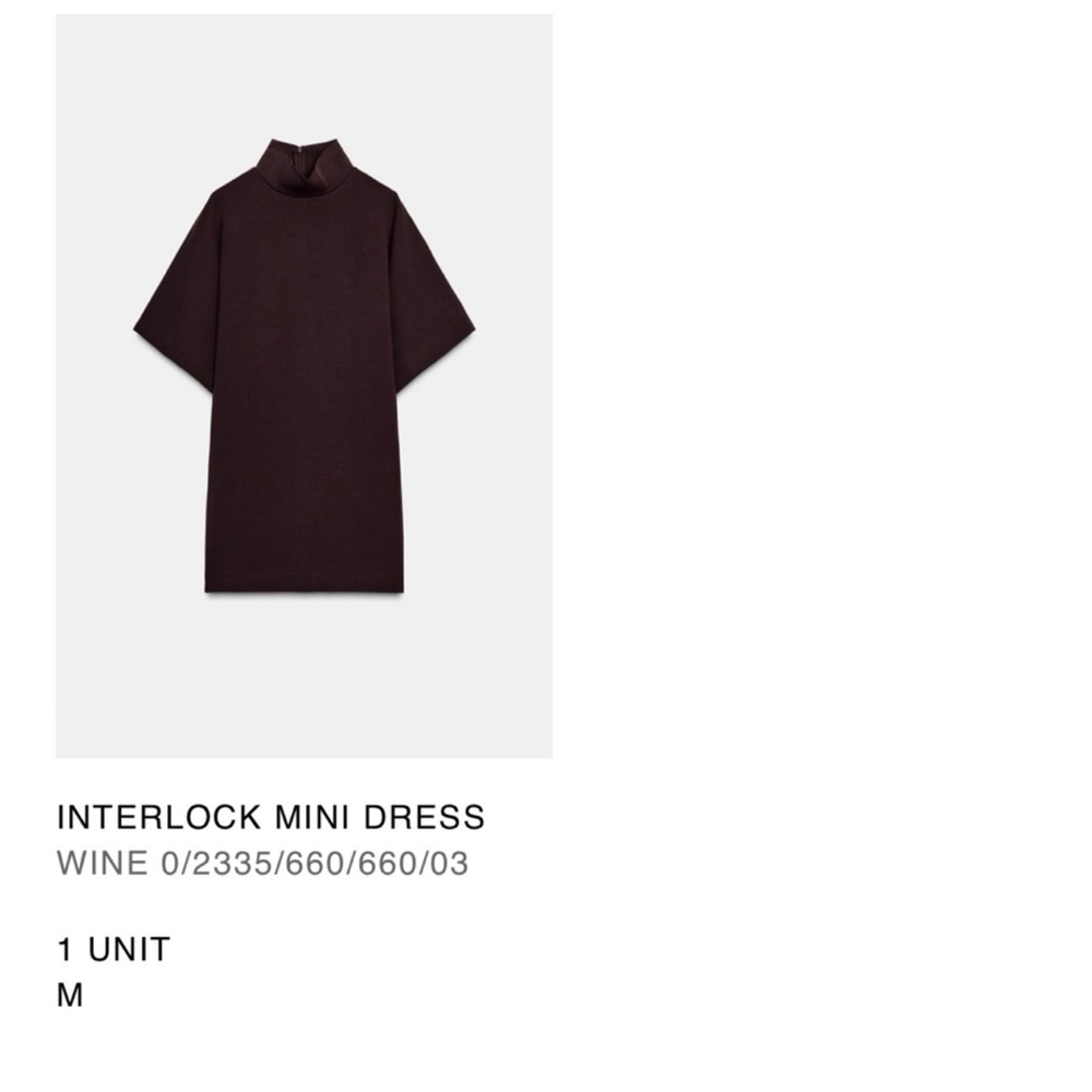 Zara Wine Mini Dress